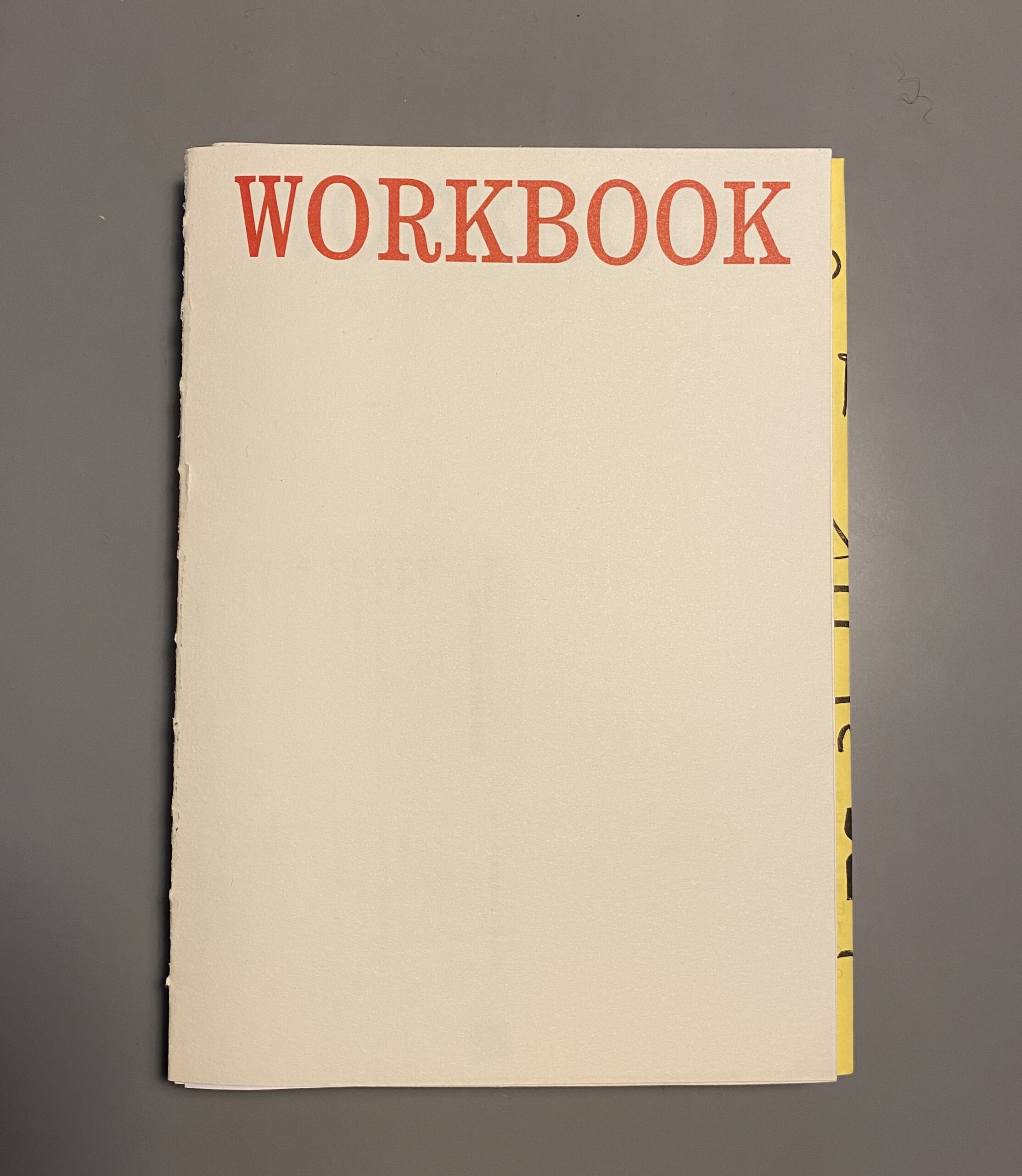 Disorganising Workbook